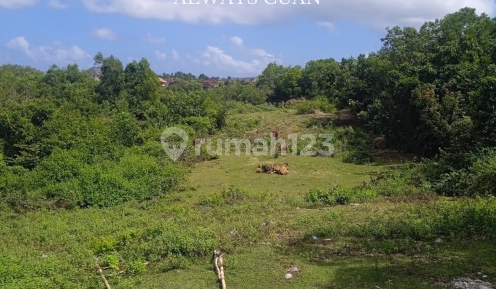 Land by the Road Near Green Bowl Beach for Sale
