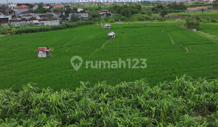 Large Land Suitable for Villa, etc. For Rent Large Land Suitable for Villa, etc. For Rent