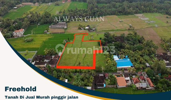 Tanah Di Jual Luasan 4.050 meter di pinggir jalan Tanah Di Jual Luasan 4.050 meter di pinggir jalan