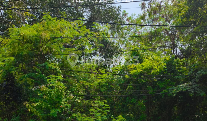 Tanah di Kawasan Hotel Bintang 5 Nusa Dua Disewakan