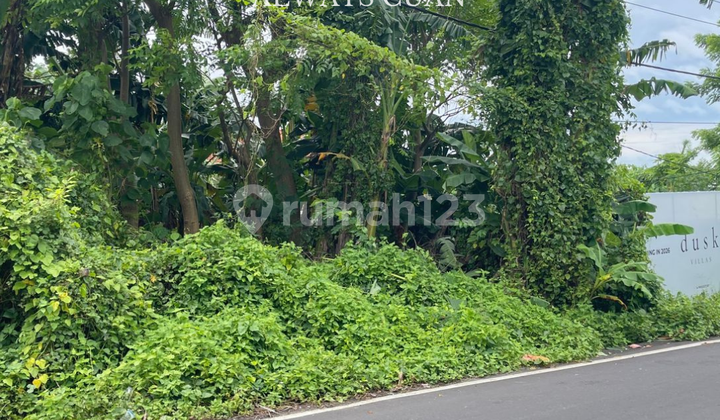 Tanah Pinggir Jalan Tumbak Bayuh Utara Dijual Tanah Pinggir Jalan Tumbak Bayuh Utara Dijual