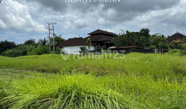 Vacant Land for Sale Villa Environment in Cemangi Beach Area Vacant Land for Sale Villa Environment in Cemangi Beach Area