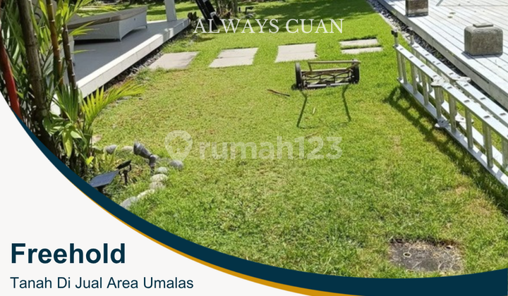 Tanah Di Jual Luas 300 meter Umalas Area Tanah Di Jual Luas 300 meter Umalas Area