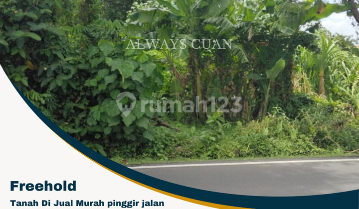 Di Jual Tanah Premium Pinggir Jalan Utama Pererenan 15 are Di Jual Tanah Premium Pinggir Jalan Utama Pererenan 15 are