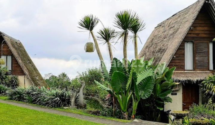 Hotel with Rice Field View for Sale in Bedugul