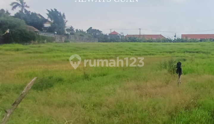 Tanah Kosong Area Wisata Dijual di Kuta Utara