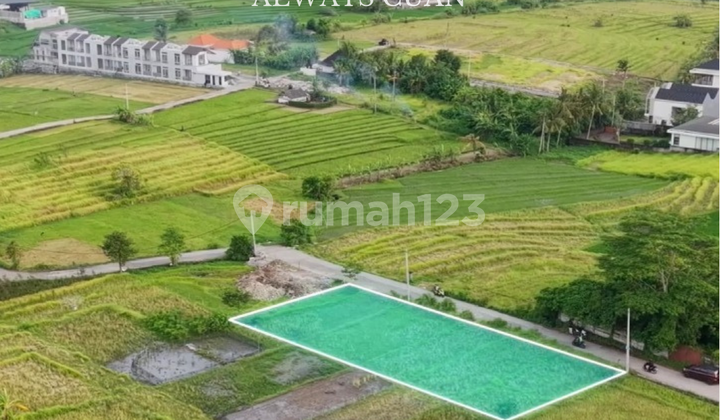 Lahan Baru Dekat Pantai Nyanyi Siap Bangun Dijual