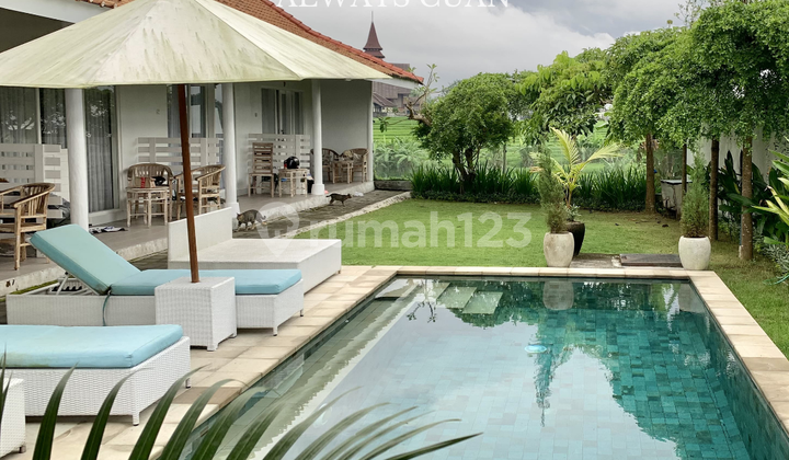 Guest House full Furnish 7 Kamar Tidur Area Canggu