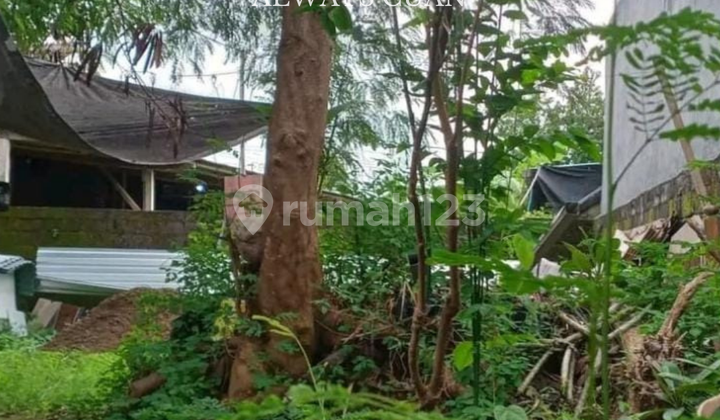 Tanah Murah Siap Dibangun Area Canggu Dijual
