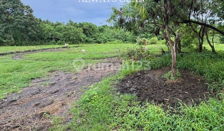 Tanah Dijual Area Strategis Dekat Pantai Nuanu