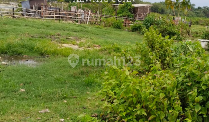 Flat Land Ready to Build in Kutuh Area, Bali