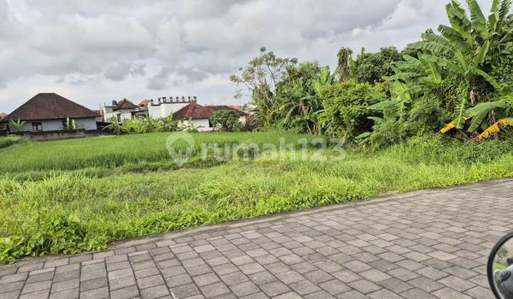 Flat land ready to build in Kerobokan area.