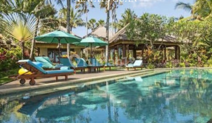 Villa Mewah Ditepi Pantai dengan 4 Kamar Dijual Villa Mewah Ditepi Pantai dengan 4 Kamar Dijual