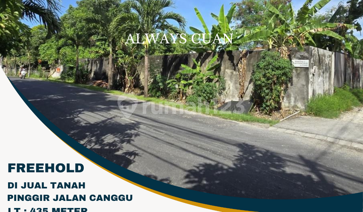 LAND FOR SALE CHEAP CANGGU