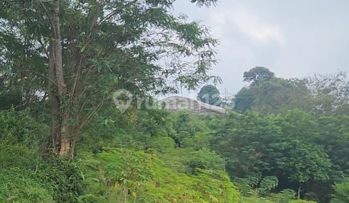 Dijual Lahan Tanah Kebun Luas Perbukitan di Gn. Geulis Sentul