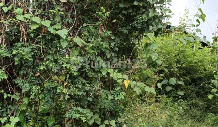 For Rent Land With Strategic Location 24 Are