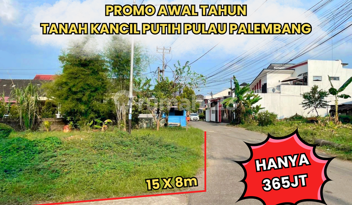 Dijual Tanah Kancil Putih Palembang Dijual Tanah Kancil Putih Palembang