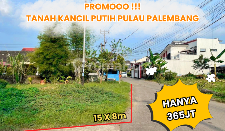 Dijual Tanah Kancil Putih Palembang Dijual Tanah Kancil Putih Palembang