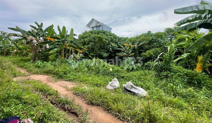 tanah kebun  bunga palembang