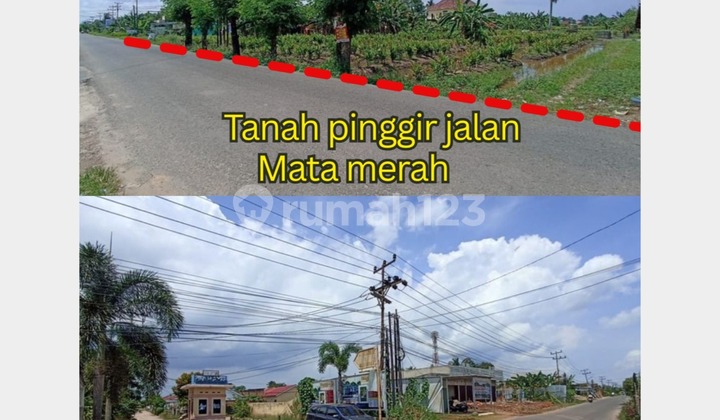 Sell Red Eye Land Palembang SHM