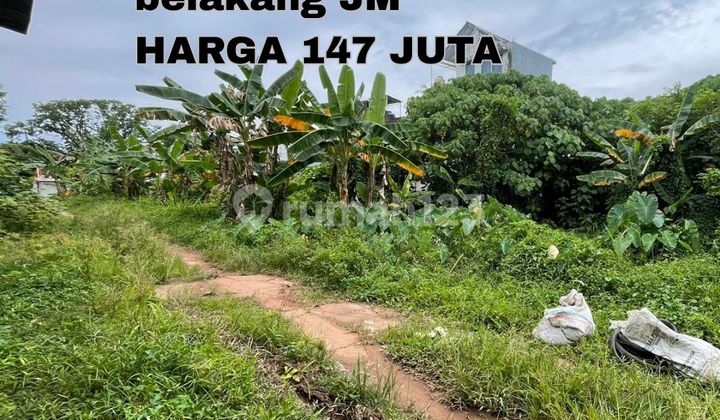 tanah kebun  bunga palembang