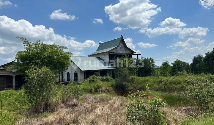 ✨ Provincial Roadside Land, Industrial Area