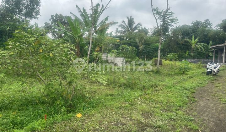 Tanah Kavling Ayifa Tirta Turirejo