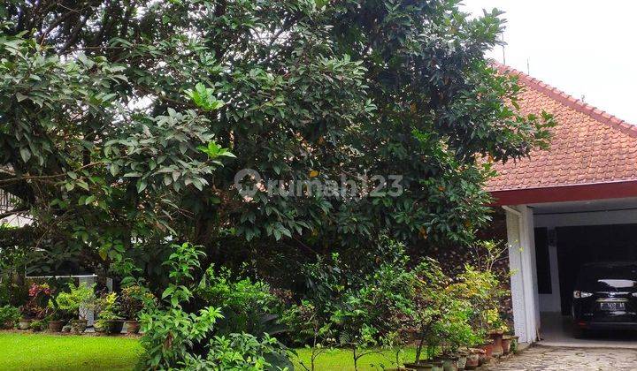 Rumah Asri Di Kota Bogor  1