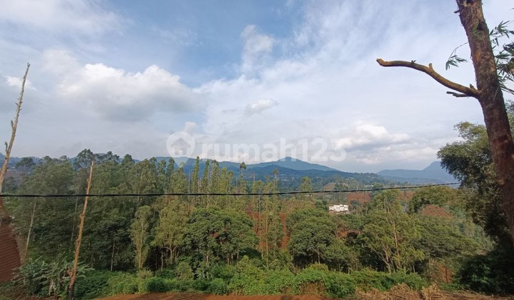 Tanah Kebun Sangat Murah di Cimenyan, Bandung