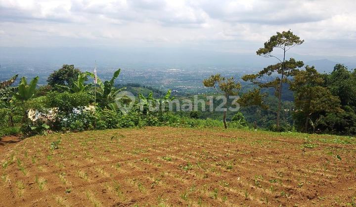 Tanah SHM Lokasi Strategis di Tunagan, Cianjur