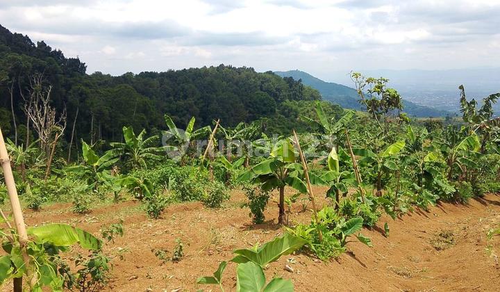 Tanah SHM Lokasi Strategis di Tunagan, Cianjur