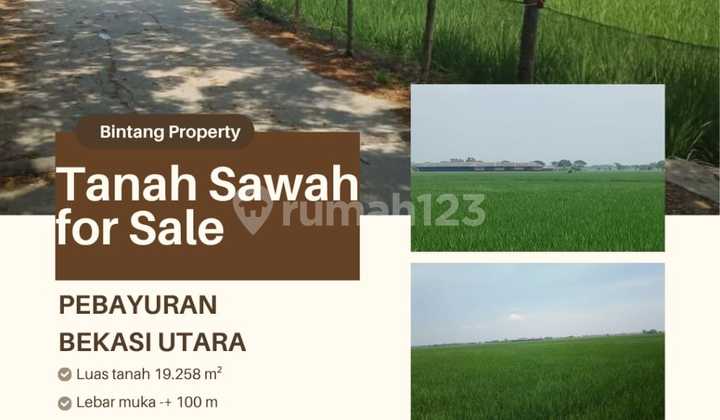 Tanah Sawah Di Pebayuran Shm 19.0 Ha Bekasi Utara Tanah Sawah Di Pebayuran Shm 19.0 Ha Bekasi Utara