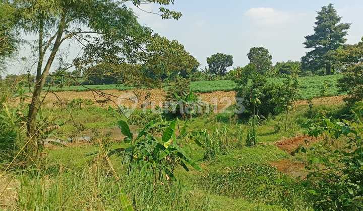 For Quick Sale, Land in Parung Bogor, Land Area 5,830, Price 500 Thousand / M