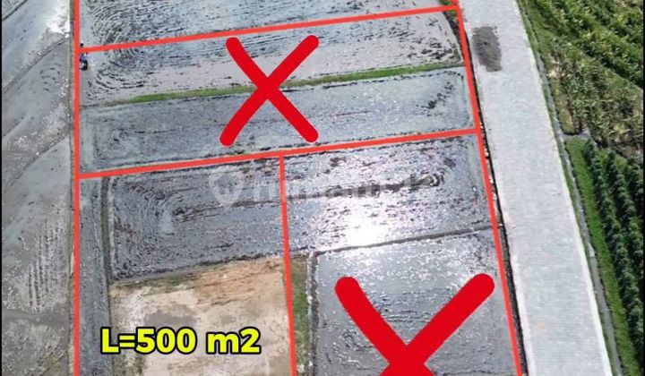 Tanah Kavlingan Villa Di Pantai Pasut Tabanan Dekat Kedunggu Bali