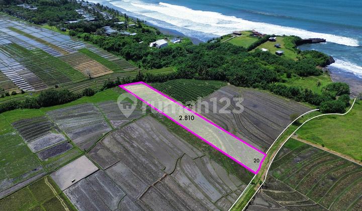 Premium Land 150 Meters to Kelating Beach Near Pasut Beraban Yeh Gangga Tabanan Bali