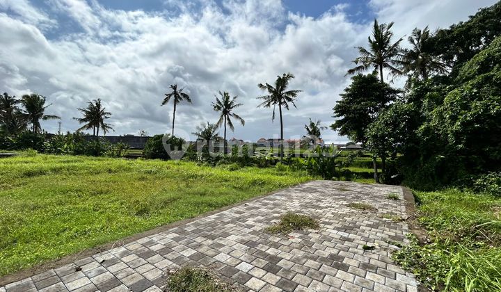 Strategic Plot of Land in Kaba Kaba, Kediri, Tabanan, Near Nyanyi, Seseh, Munggu, Tanah Lot Strategic Plot of Land in Kaba Kaba, Kediri, Tabanan, Near Nyanyi, Seseh, Munggu, Tanah Lot