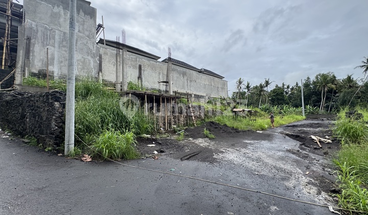 Land Ready to Build in Abiansemal Gerih Near Green School Blumbungan Sempidi Lodtunduh Ubud Ayani