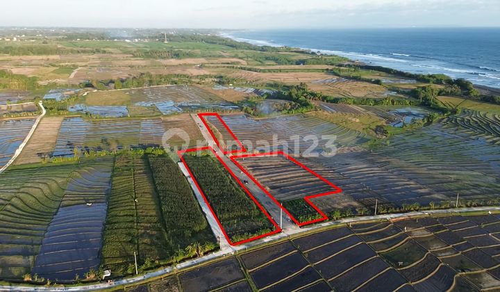 Cheap Small Land at Pasut Beach Tabanan Near Beraban Tibu Biu Kedunggu Yeh Gangga Beach Tabanan Bali Cheap Small Land at Pasut Beach Tabanan Near Beraban Tibu Biu Kedunggu Yeh Gangga Beach Tabanan Bali
