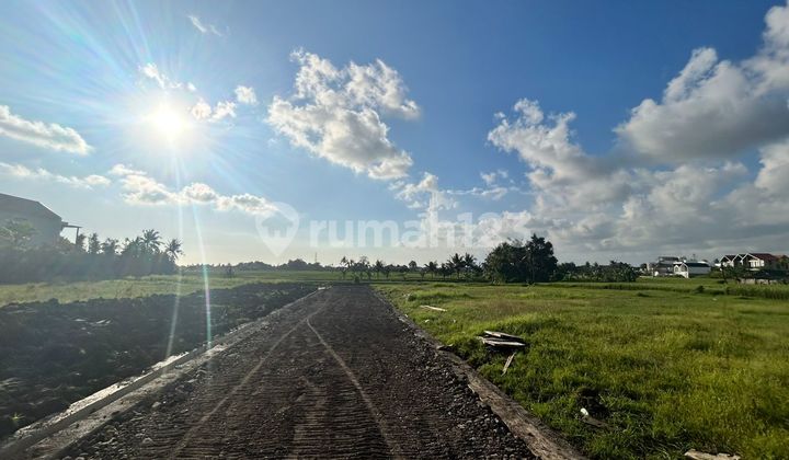 Tanah Size Kecil Di Area Nyanyi Beraban Tabanan Dekat Prerenan Canggu Seseh Cemagi Kedunggu Tanah Lot