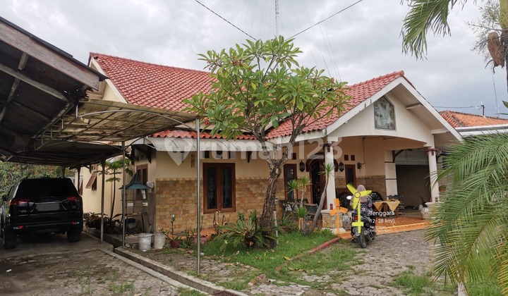 Dijual Rumah dan Bangunan Daerah Ketanggungan, Brebes (BRBR) 2