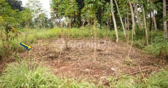 Land for Sale in Ngaliyan Area (BPAS) 1