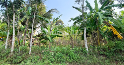 Dijual Rumah Dan Tanah Daerah Ngaliyan (BPAS) 2