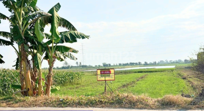 Dijual Tanah Daerah Bulungcangkaring, Kabupaten Kudus (BPAS) Dijual Tanah Daerah Bulungcangkaring, Kabupaten Kudus (BPAS)