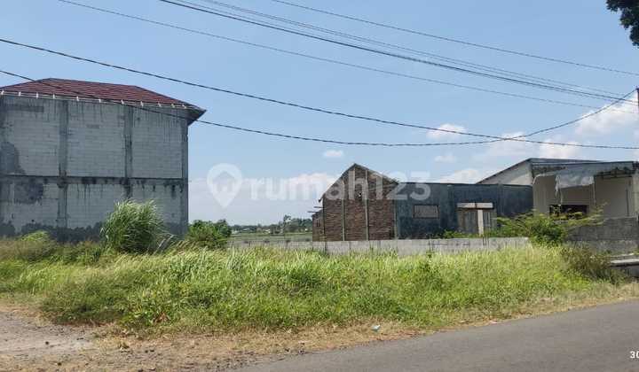 Dijual Ruko, Rumah, Riceill dan Tempat Jemuran Padi Dalam Satu Hamparan Daerah Randudongkal, Pemalang (Brpm)