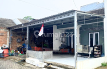 Dijual Rumah daerah Campurejo Boja, Kendal (BPAS) Dijual Rumah daerah Campurejo Boja, Kendal (BPAS)