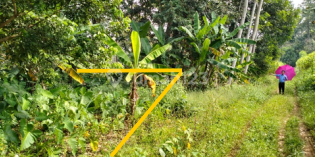 Land for Sale in Ngaliyan Area (BPAS) 1