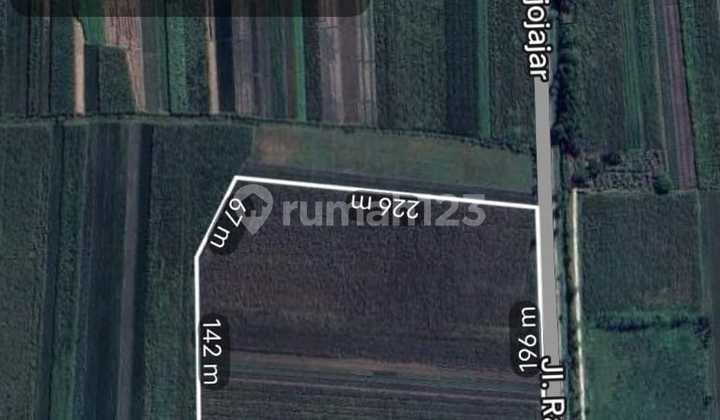 Cheap Industrial Land in Mojokerto