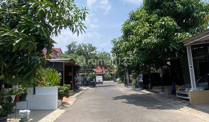 Turun Harga Termurah Rumah Baru Cluster Pinus Regency Rq 2