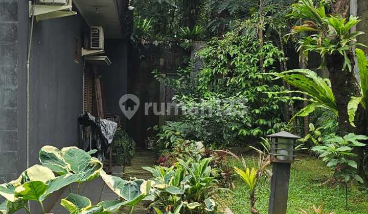 Dijual Rumah Area Kota Kota Bogor Dekat Dengan Summarecon Bogor Dijual Rumah Area Kota Kota Bogor Dekat Dengan Summarecon Bogor