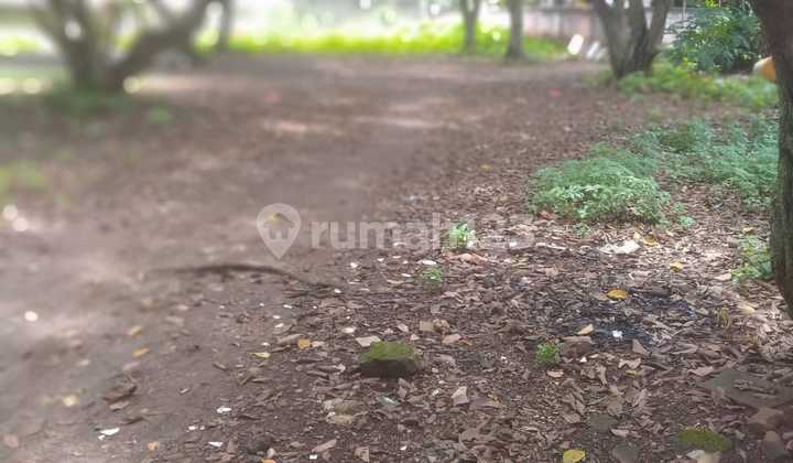 Dijual Tanah Strategis di Cileungsi - Dekat Pabrik Tas Sofee Martin, Cocok untuk Usaha atau Investasi